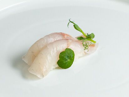 【 Nigiri Branzino 】