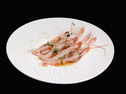 【 Carpaccio Scampi 】