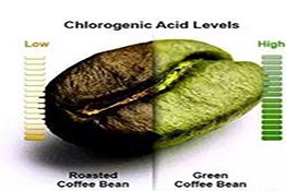 Is green coffee bean extract the same as coffee?