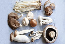 Why Mushroom extract popular during Covid-19?