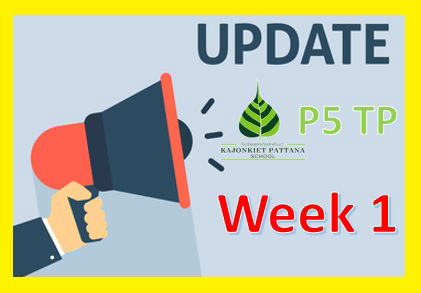 Week 1 Update, 22nd November 2021