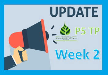 Week 2 Update, 29th November 2021