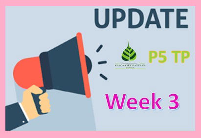 Week 3 Update, 7th December 2021