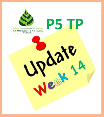 Week 14 Update, 21st February 2022