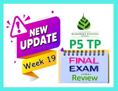 Week 19 Update: Final Assessment Review, 28th March 2022