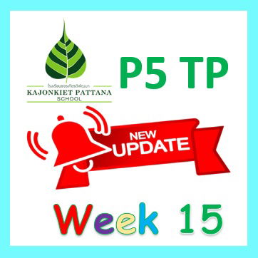 Week 15 Update, 16th August 2022