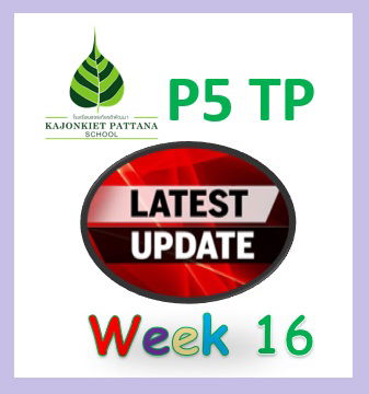 WEEK 16 UPDATE, 6th February 2023