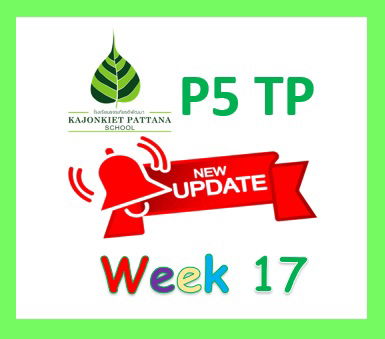 WEEK 17 UPDATE, 28th August 2023