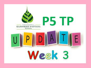 WEEK 3 Update: 27th May 2024