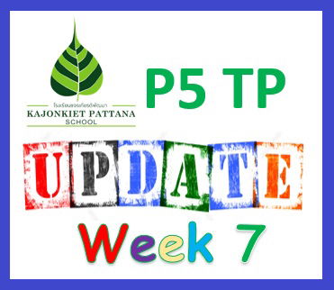 WEEK 7 Update: 22nd June 2024