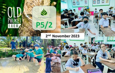 Week 2: Thursday, 2nd November 2023