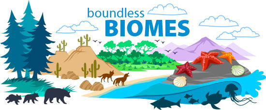 Q4 Project: Biomes of the Earth