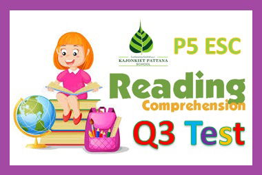 Q3 Reading Assessment