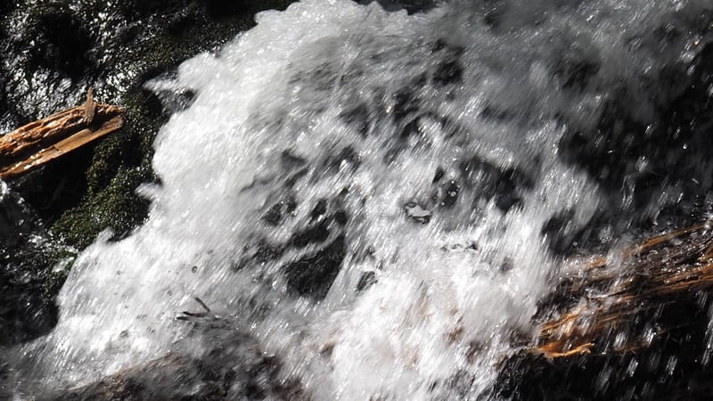 L'eau, source de la vie