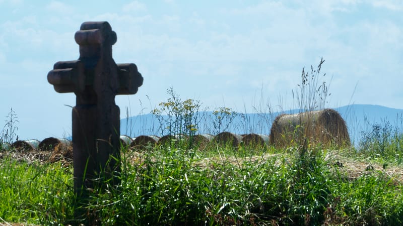 Les champs de blé et fenaison en Alsace