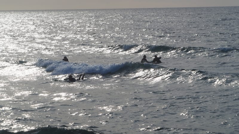 Contre-jours et Nuances de gris