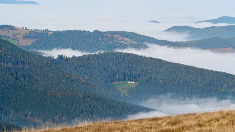 Mer de nuages au-dessus des Vosges