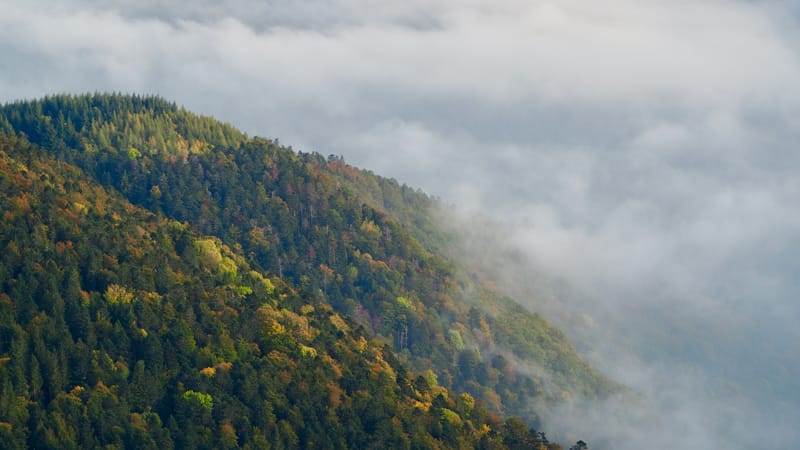 Mer de nuages au-dessus des Vosges