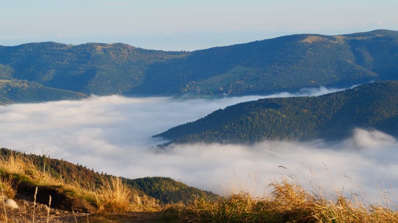 Mer de nuages au-dessus des Vosges