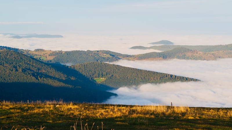 Mer de nuages au-dessus des Vosges