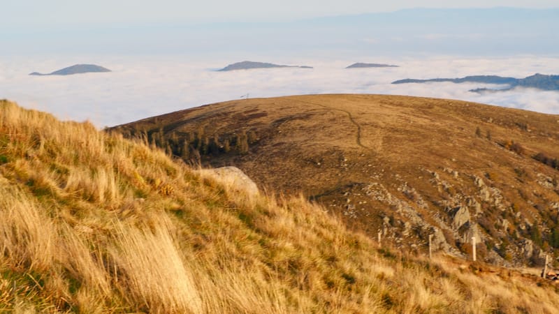 Mer de nuages au-dessus des Vosges