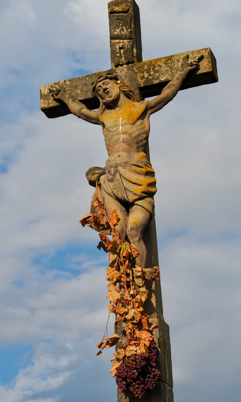De forêts en collines, de collines en vignobles, en automne, en Alsace