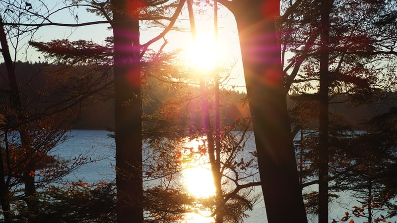 Une journée d'automne dans les Vosges