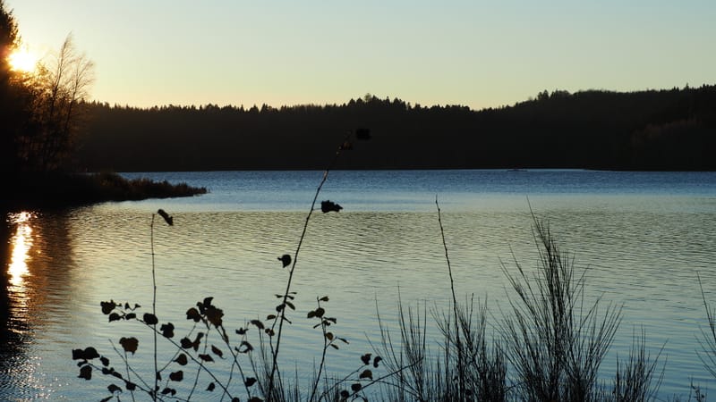 Une journée d'automne dans les Vosges