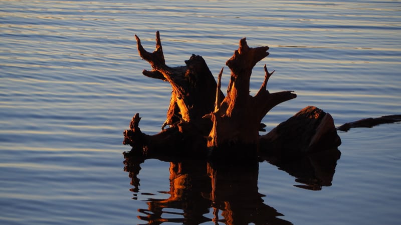 Une journée d'automne dans les Vosges