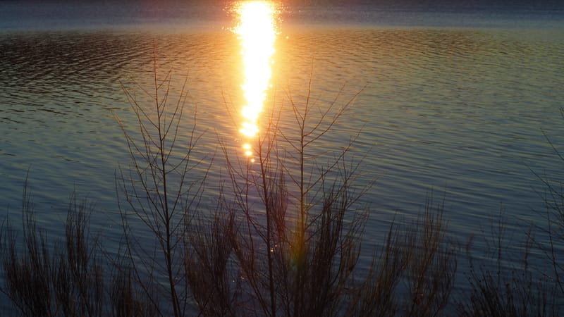 Une journée d'automne dans les Vosges
