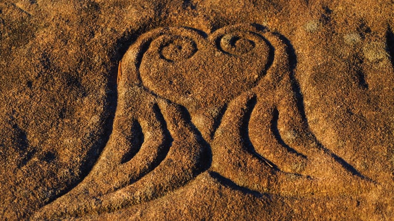 Une journée d'automne dans les Vosges
