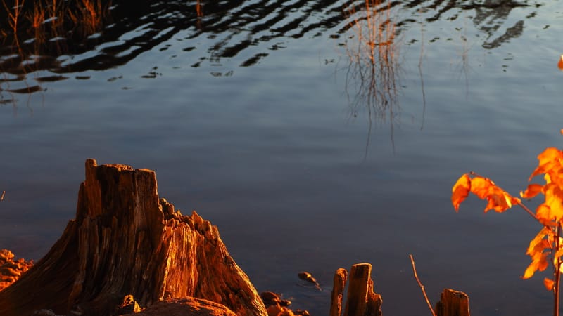 Une journée d'automne dans les Vosges