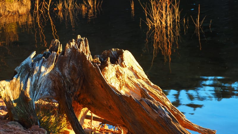 Une journée d'automne dans les Vosges