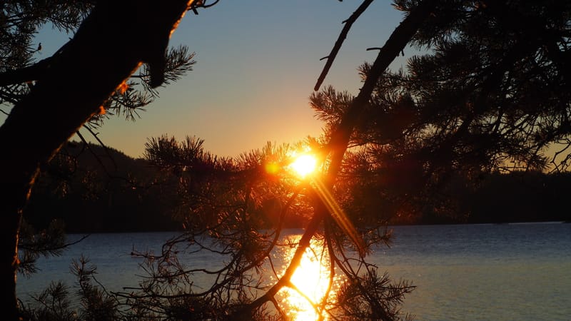 Une journée d'automne dans les Vosges