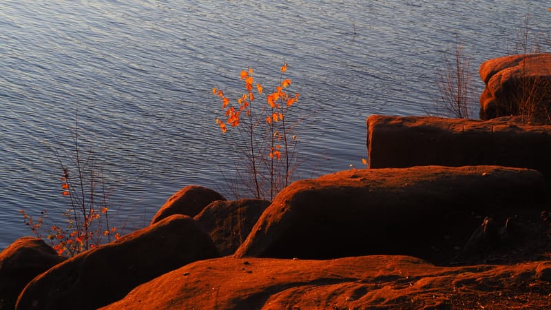 Une journée d'automne dans les Vosges