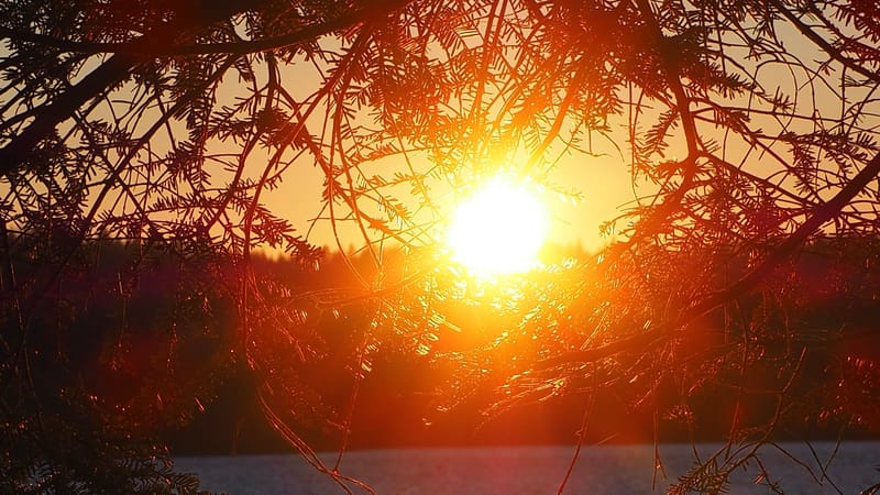 Une journée d'automne dans les Vosges