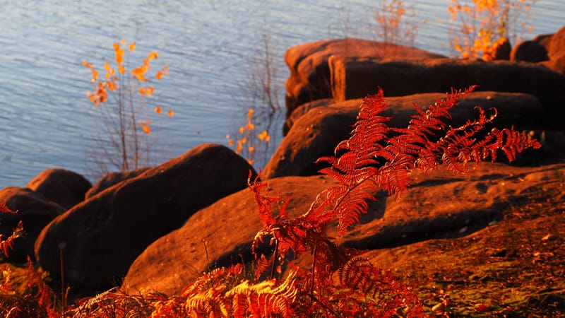 Une journée d'automne dans les Vosges