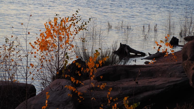 Une journée d'automne dans les Vosges