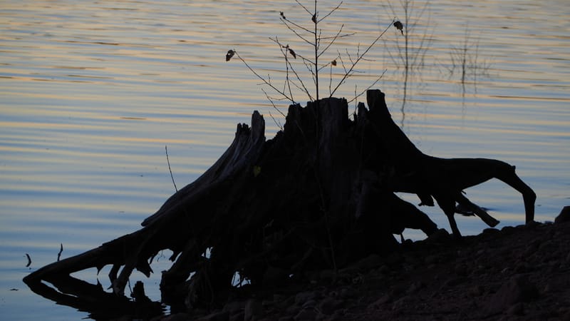 Une journée d'automne dans les Vosges