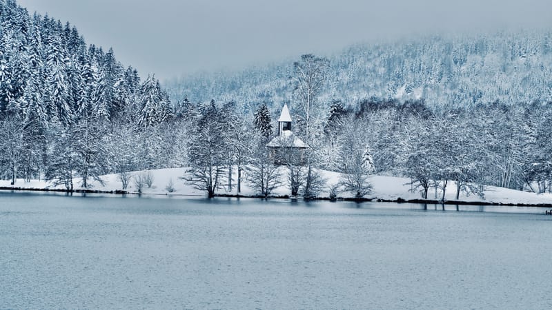 Fin novembre, premières neiges dans les Vosges