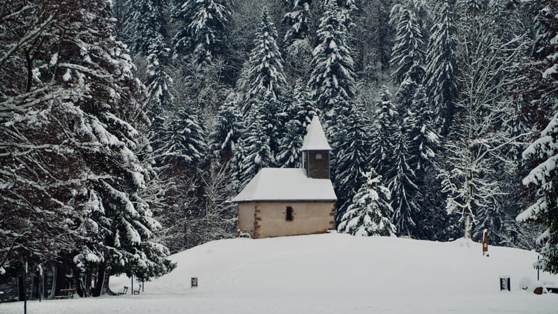Fin novembre, premières neiges dans les Vosges