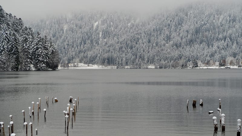 Fin novembre, premières neiges dans les Vosges
