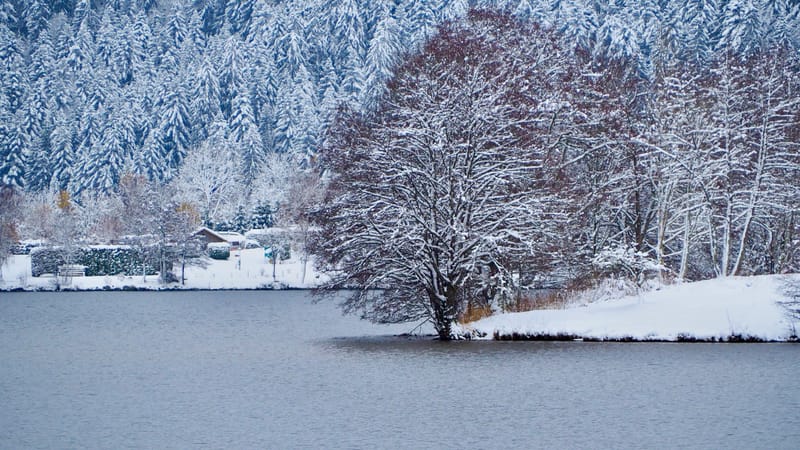 Fin novembre, premières neiges dans les Vosges