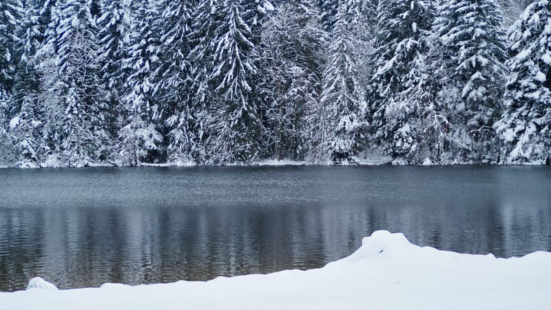 Fin novembre, premières neiges dans les Vosges