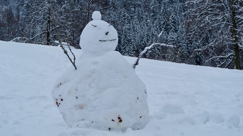 Fin novembre, premières neiges dans les Vosges