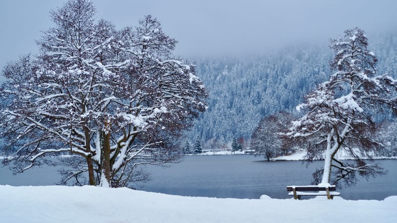 Fin novembre, premières neiges dans les Vosges