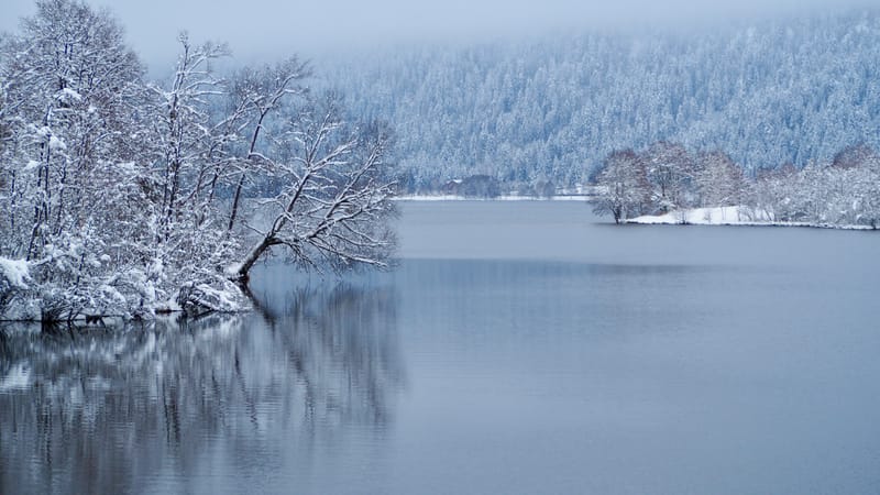 Fin novembre, premières neiges dans les Vosges