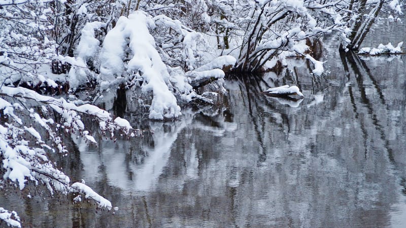 Fin novembre, premières neiges dans les Vosges