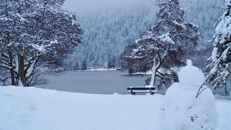 Fin novembre, premières neiges dans les Vosges
