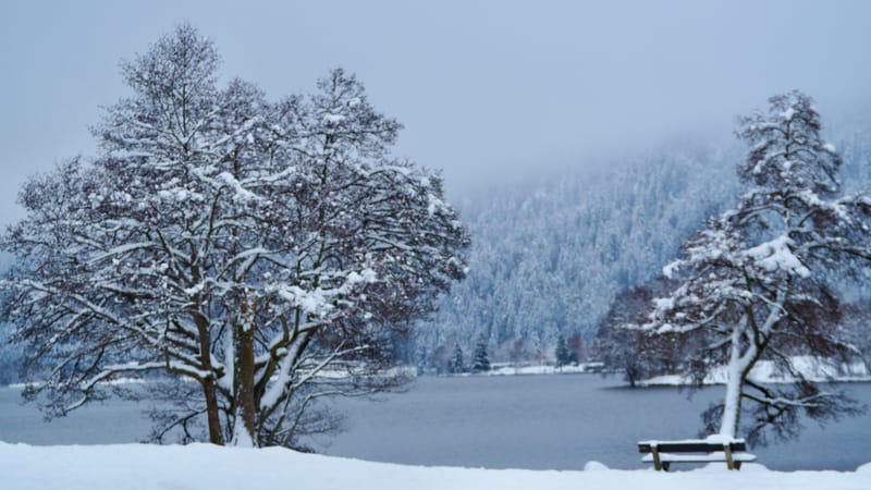 Fin novembre, premières neiges dans les Vosges